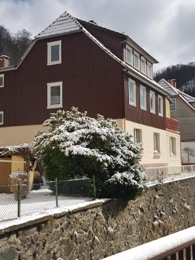 Haus Am Fluss Mit Wunderschoener Dachterrasse Mit Flussblick ,Garten Und Grill Zorge Exterior photo
